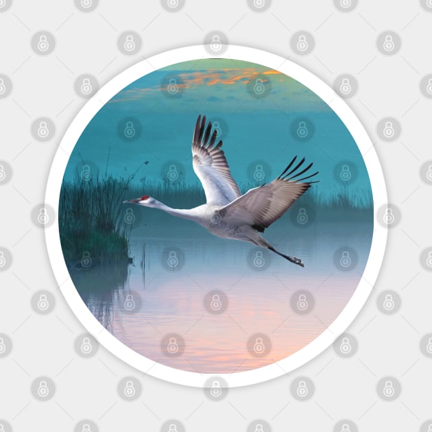 Sandhill Crane and Misty Marshes Magnet by lauradyoung